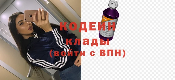молекула духа Осташков