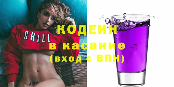 молекула духа Осташков