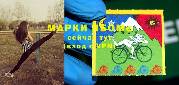 молекула духа Осташков