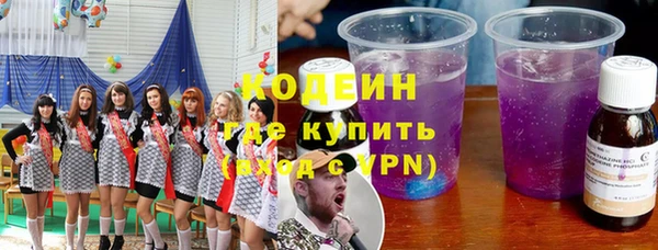 молекула духа Осташков