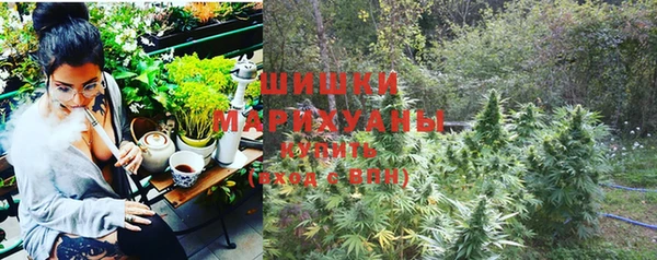 молекула духа Осташков