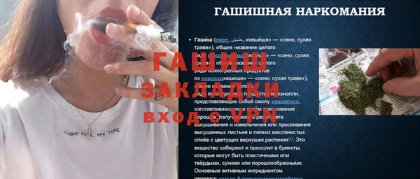 молекула духа Осташков
