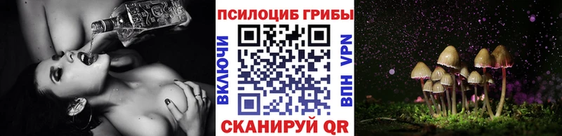 Псилоцибиновые грибы Psilocybine cubensis Сафоново